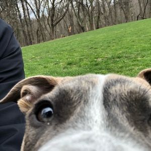 Meet your Posher, All night